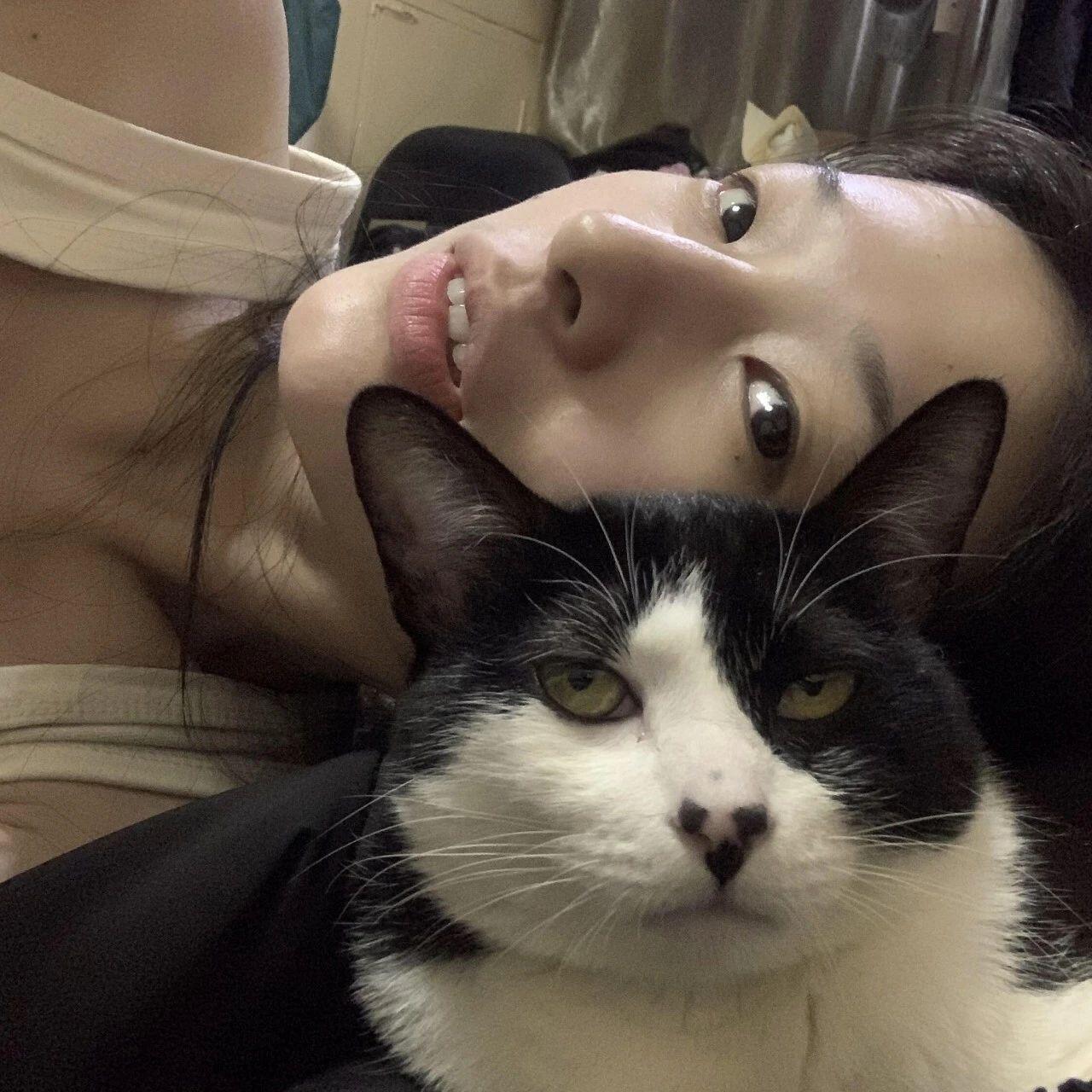 今天换头像了吗 