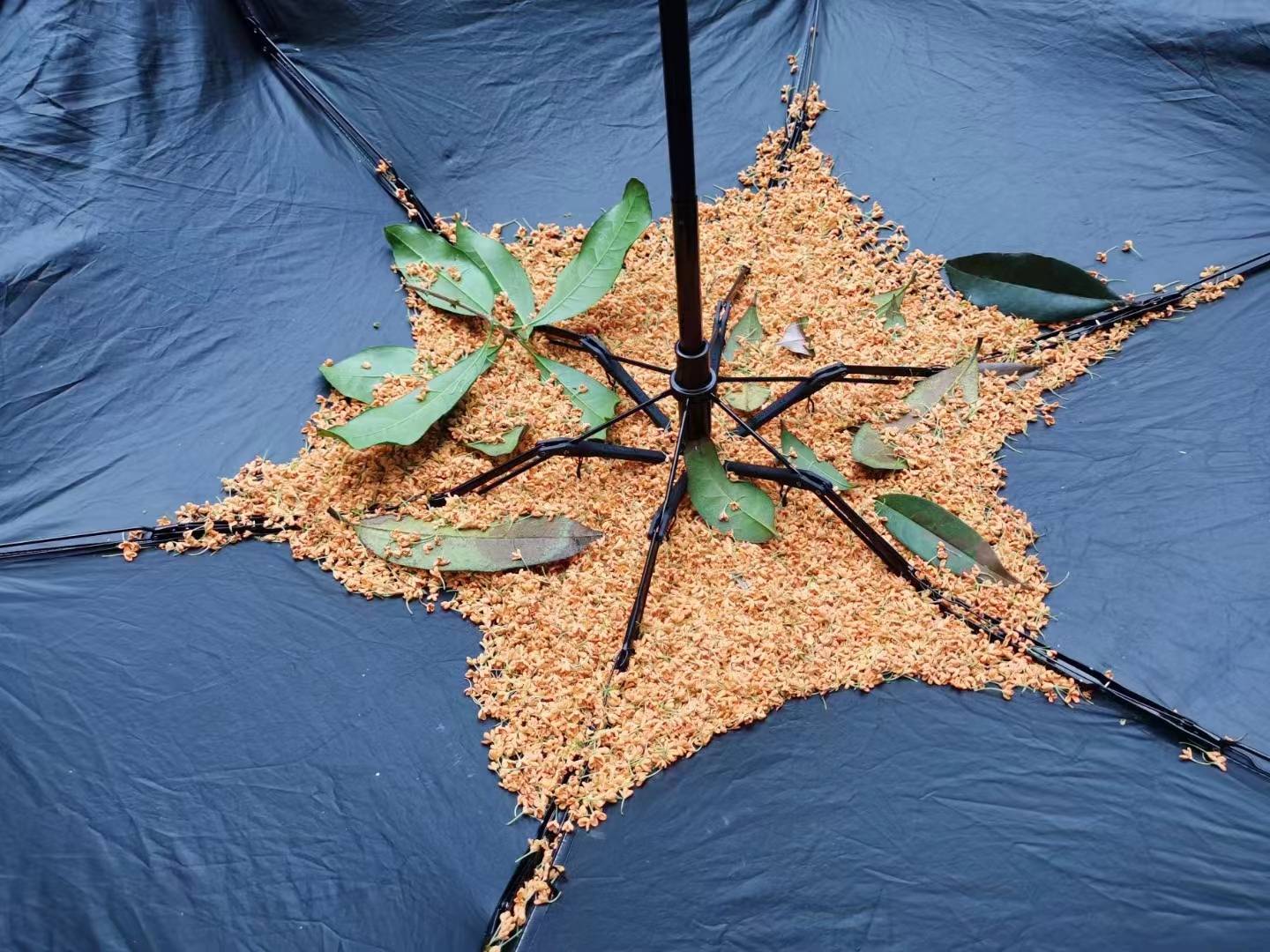 心中一旦生出希冀，便很难搁置，唯有踏实地奔赴、亲手完成，才能消解心底那份长久萦绕