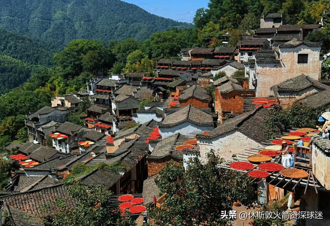 今年的大环境真恶心，1月份离职后就一直找工作，找到5月份找啦个销售家电的。本来以