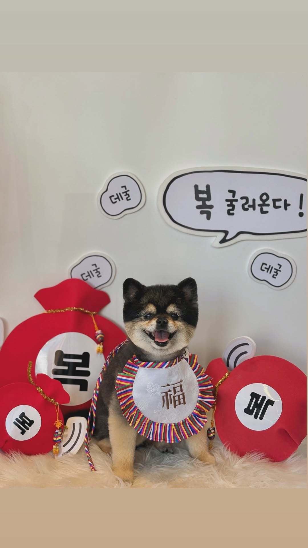 “CB百蓝_。260107金钟云 ins story更新： 