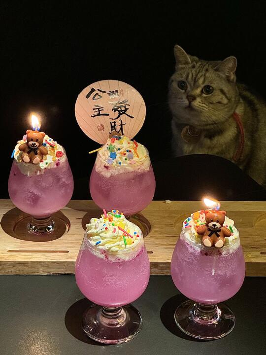 猫：公主请干杯！祝我生日快乐🥂