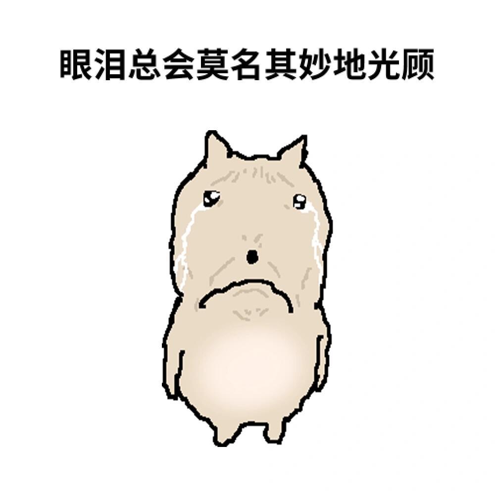 晚上好啊我又下班咯 