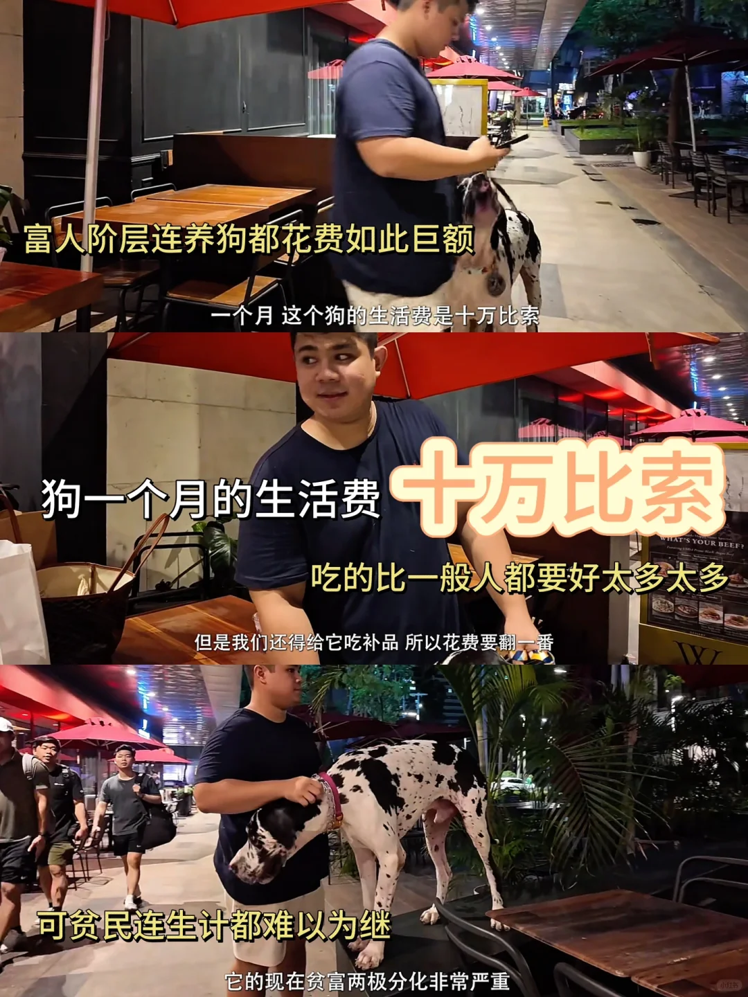 细糠‼️饼叔的纪录片真的太高质量了🔥