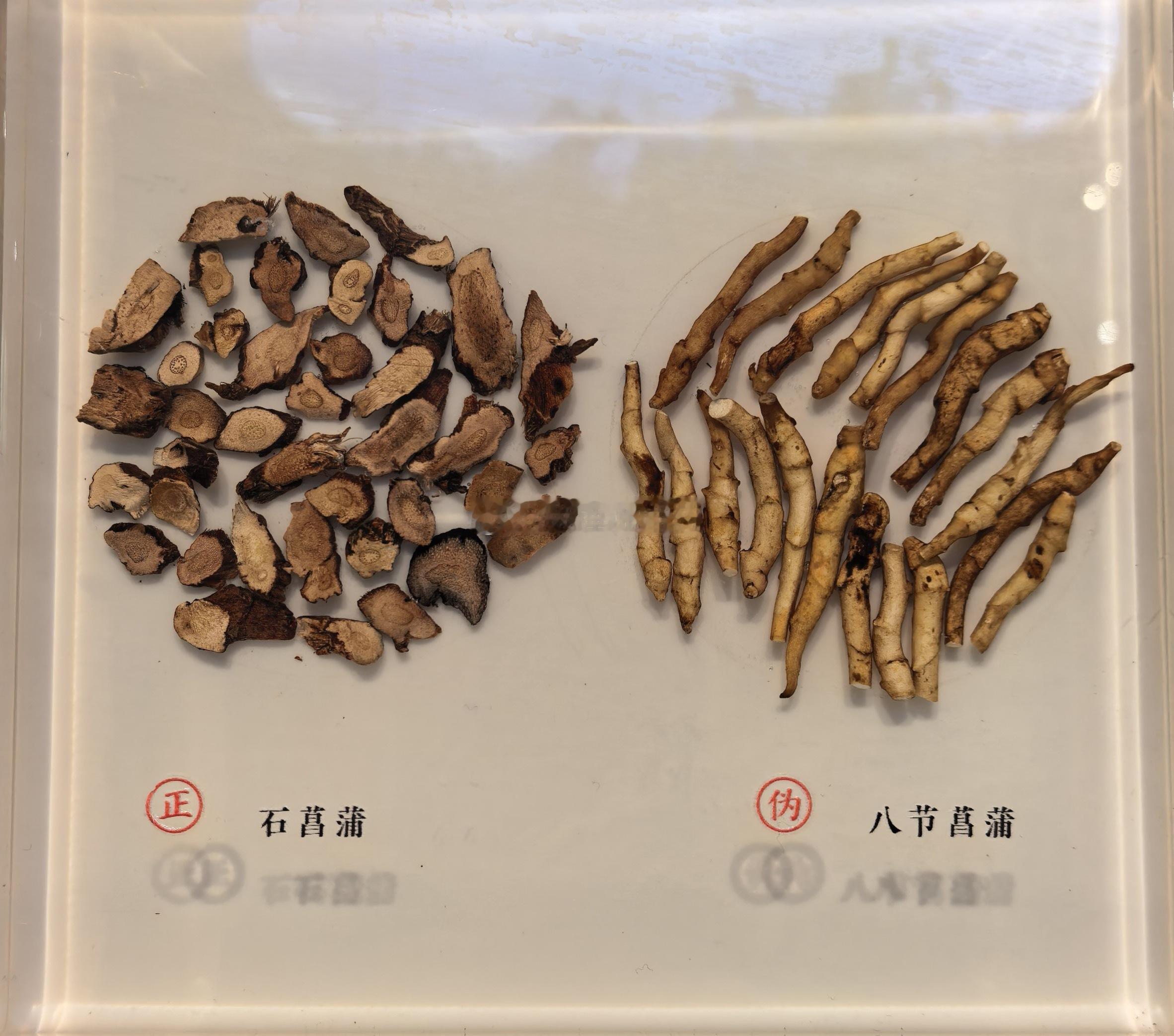 “文化工作者要有文化”，这句话虽然很通俗，但是确实是那么一回事，互联网上广泛传播