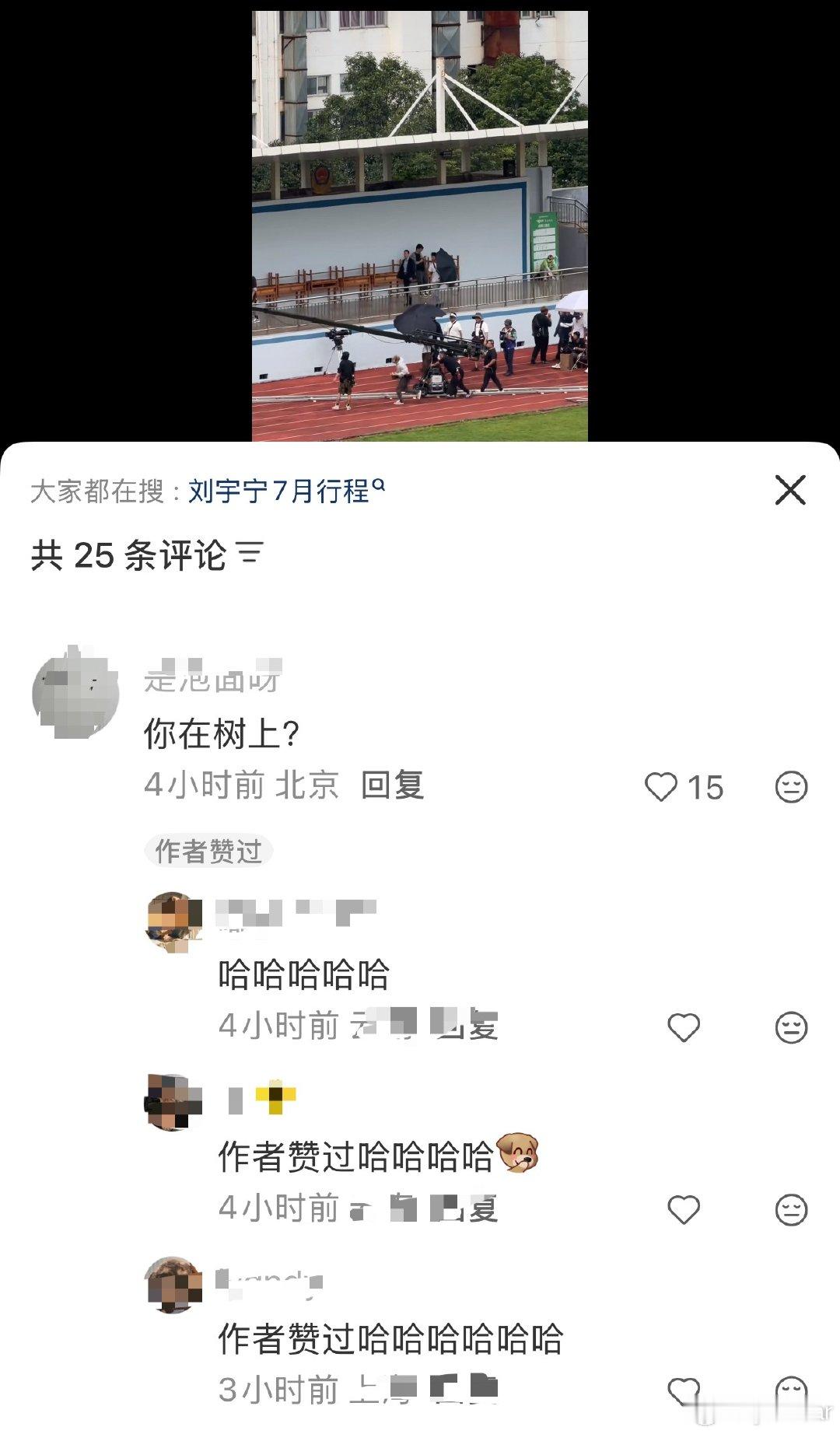 和折腰那时候一样树上乌压压的全是人