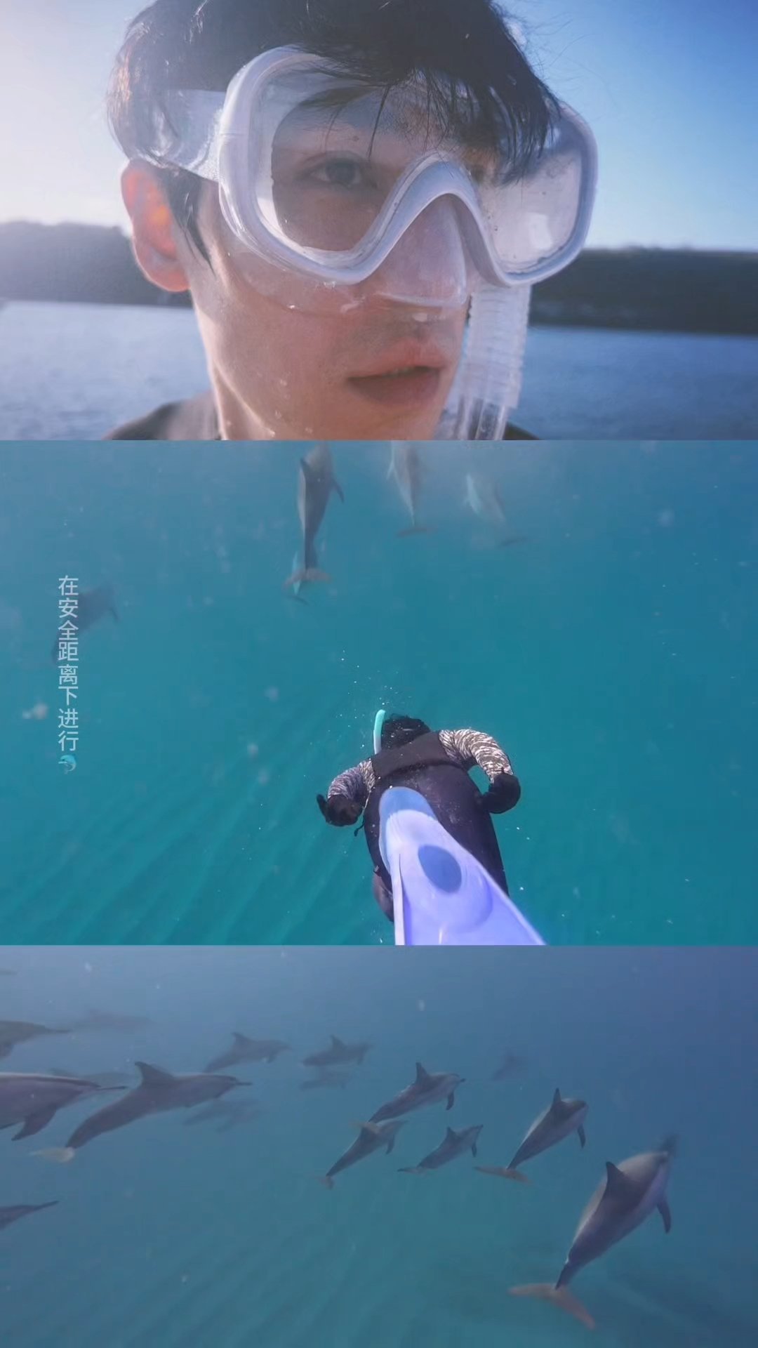 好治愈朱一龙发明实况拼图的简直是天才