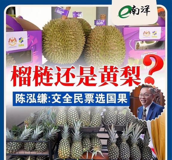 榴梿还是黄梨?  全民来选国果
榴梿、黄梨还是其他本地水果可成为马来西亚“国果”