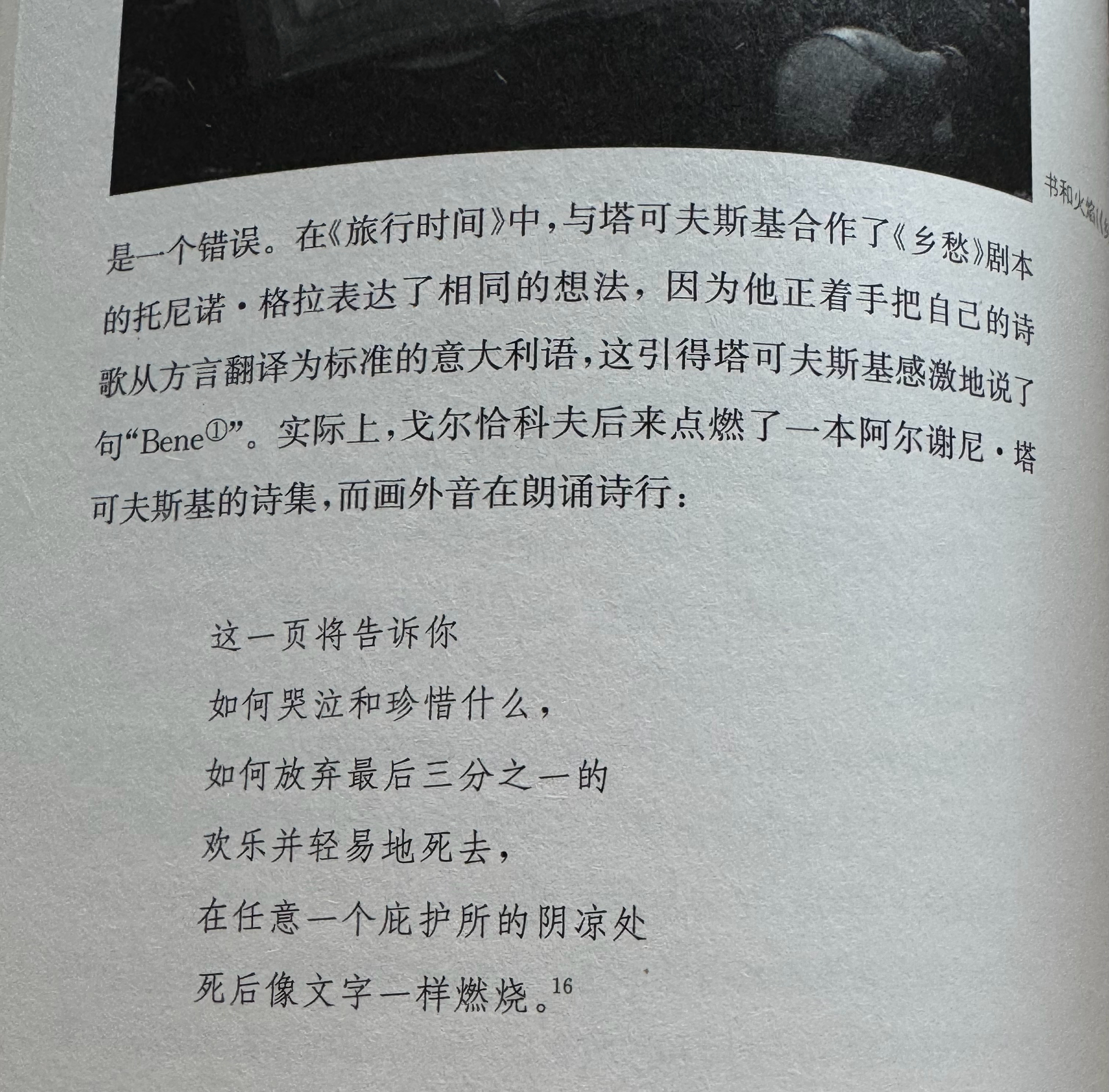 《乡愁》中点燃阿尔谢尼·塔尔科夫斯基的诗集 