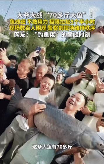 “太少见了！” 贵州遵义，一位大爷外出垂钓，钓上来一条七十多斤的巨型大鱼，鱼线偏