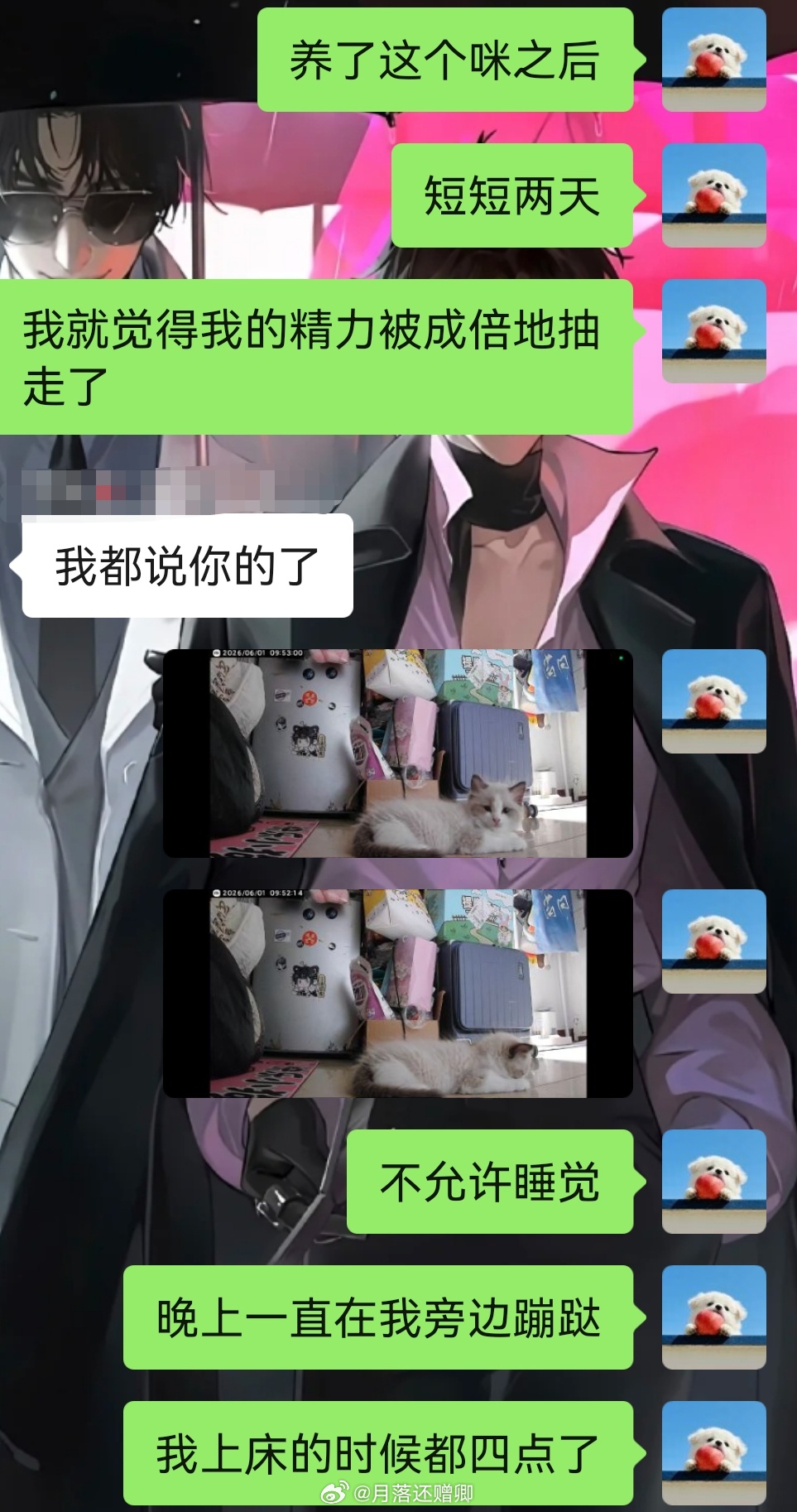 小猫真的…好…磨人…啊…（吐魂 