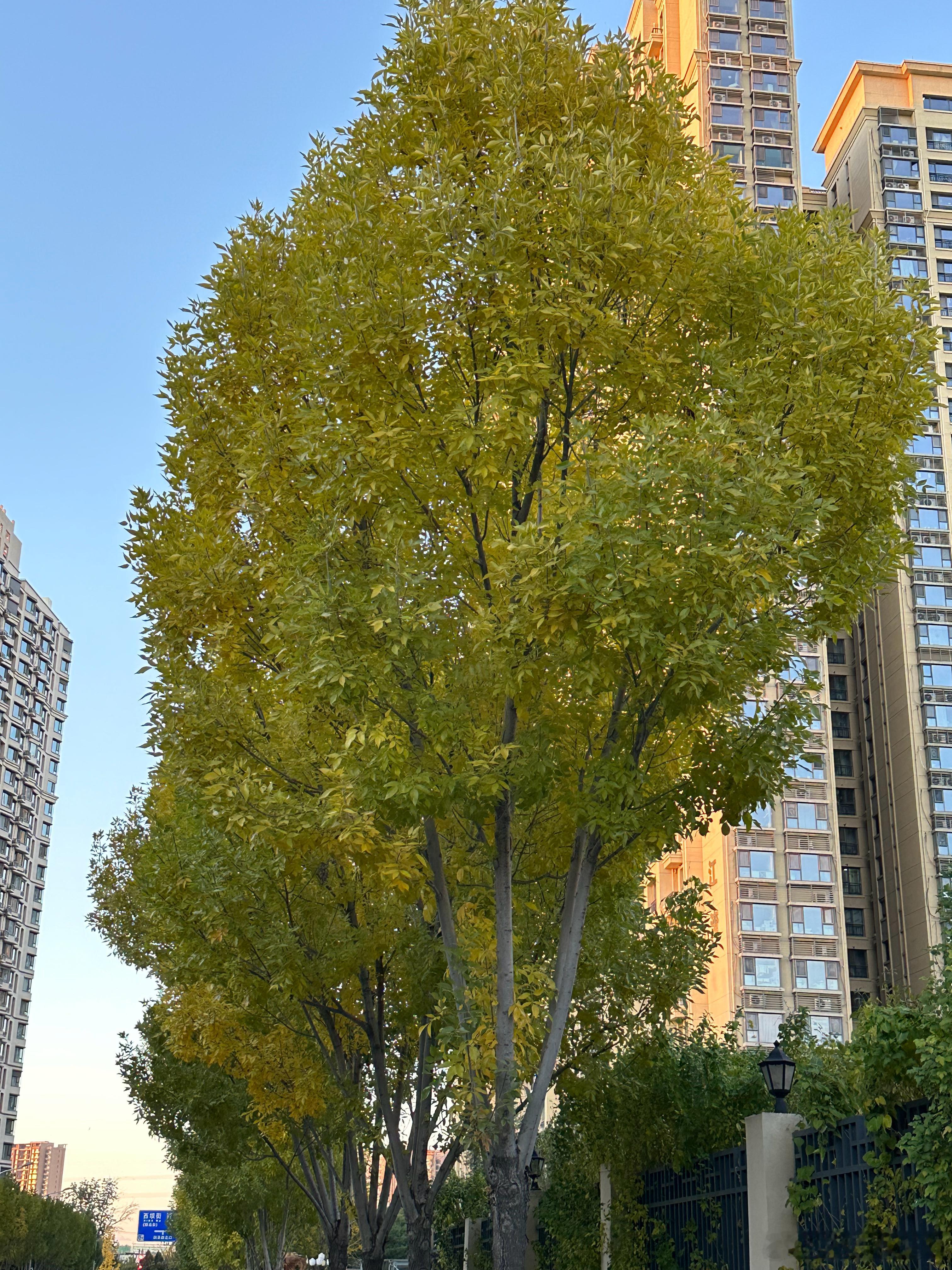善良是一种修养，善待他人就是善待自己，要想得到别人的爱，首先要学会爱别人，一个善