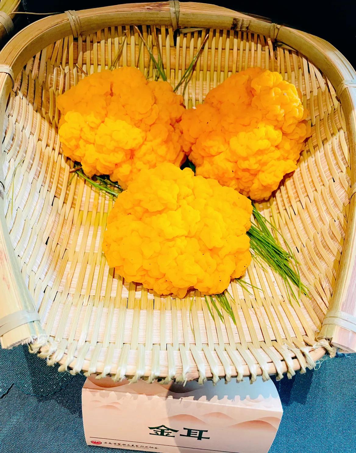 【七月的云南，蛰伏了一年的菌种渐次醒来，它们舒展着腰肢，从山林里蹦跶出来，竞相跃