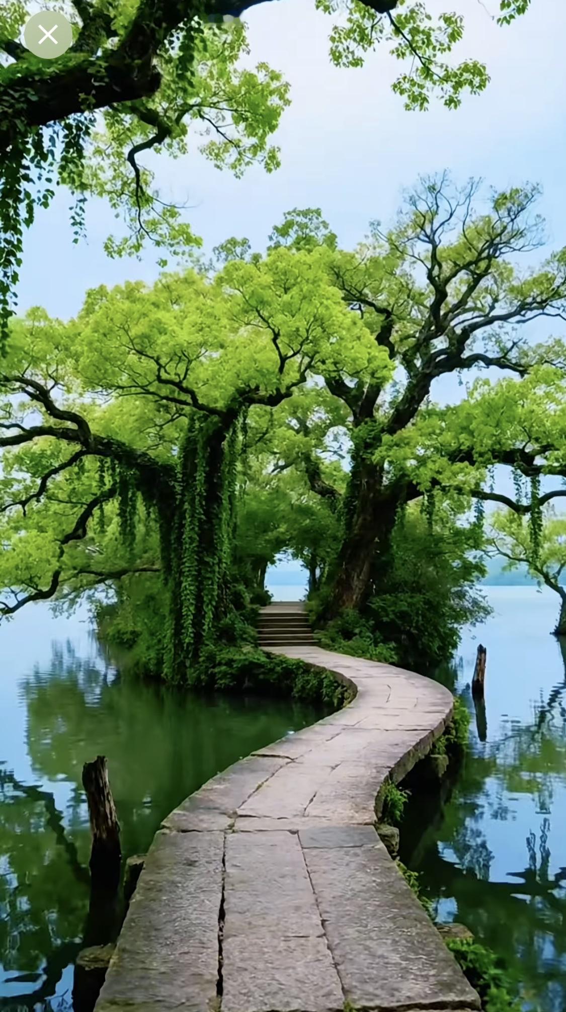 没用的事不想不做，没用的人不看不想。这句话说得太通透了，就是成年人最清醒的活法。