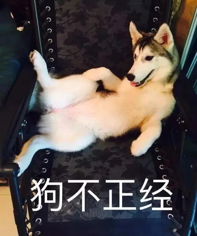 我好像得罪人了[泣不成声]

这不，我两个女校友家孩子都上了东北大学。其中一个张