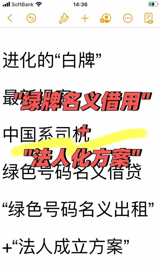 "绿牌名义借用" + "法人化方案"
最新的取缔事例（2025年10月至11月）