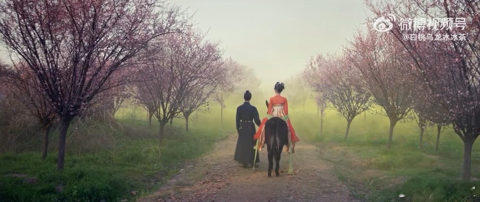 子夜归的驴跟对人了《子夜归》这段真的戳我！瘴气来了，男女主戴面罩，转头一看驴也戴