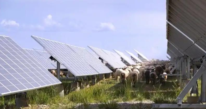 真没想到，中国基建出了个大“乌龙”，本来打算花3亿在荒漠建一个发电厂，结果10年