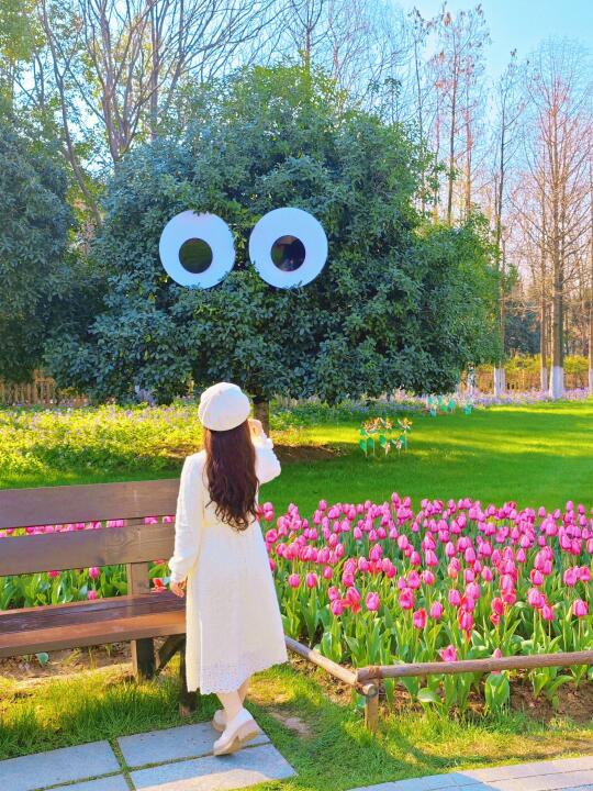 南京花情实况播报｜绿博园有郁金香还有巨喵