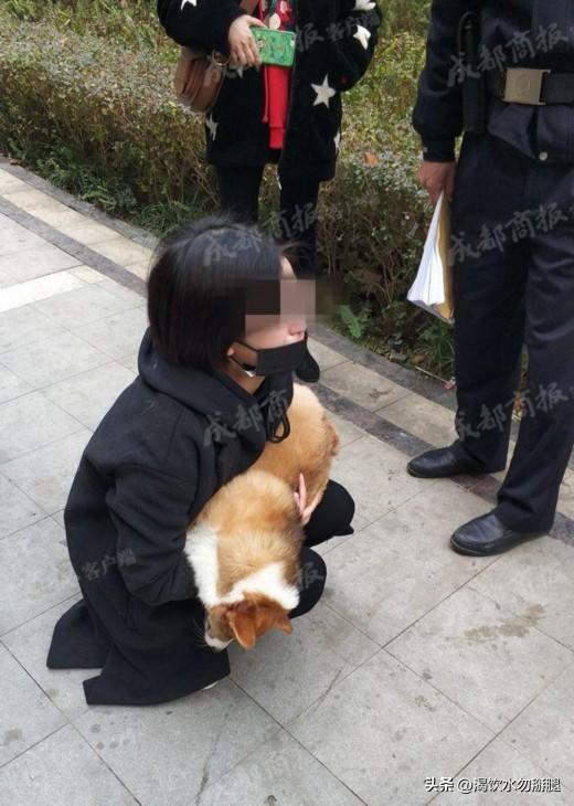 山西“狗咬人后被邻居摔死 狗主人上门理论遭反杀”

这事儿简单说，就是一起狗咬人