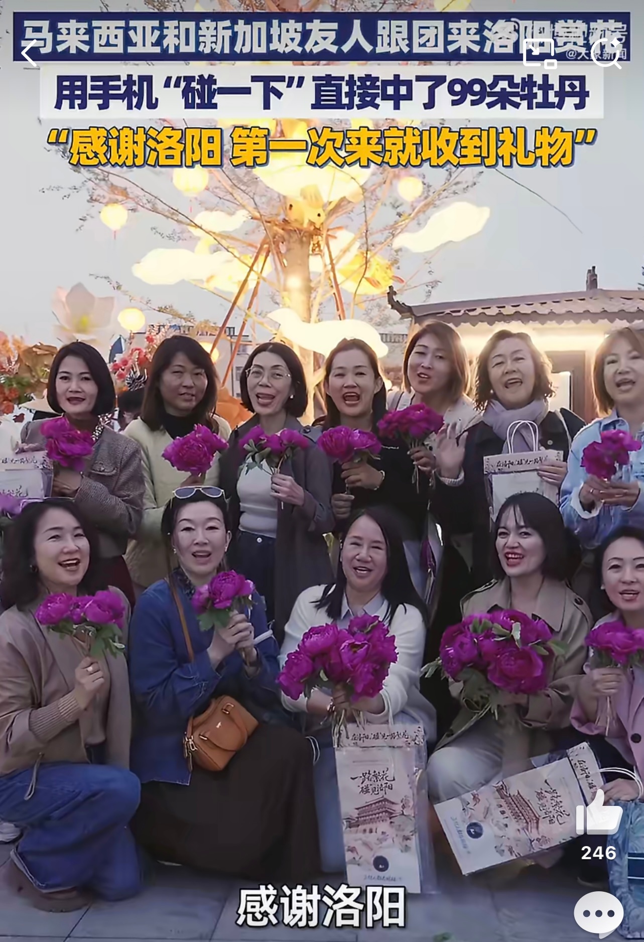 外籍友人组团来洛阳赏花三人才能抱起99朵牡丹花 不愧是国色天香！外籍友人专门飞来