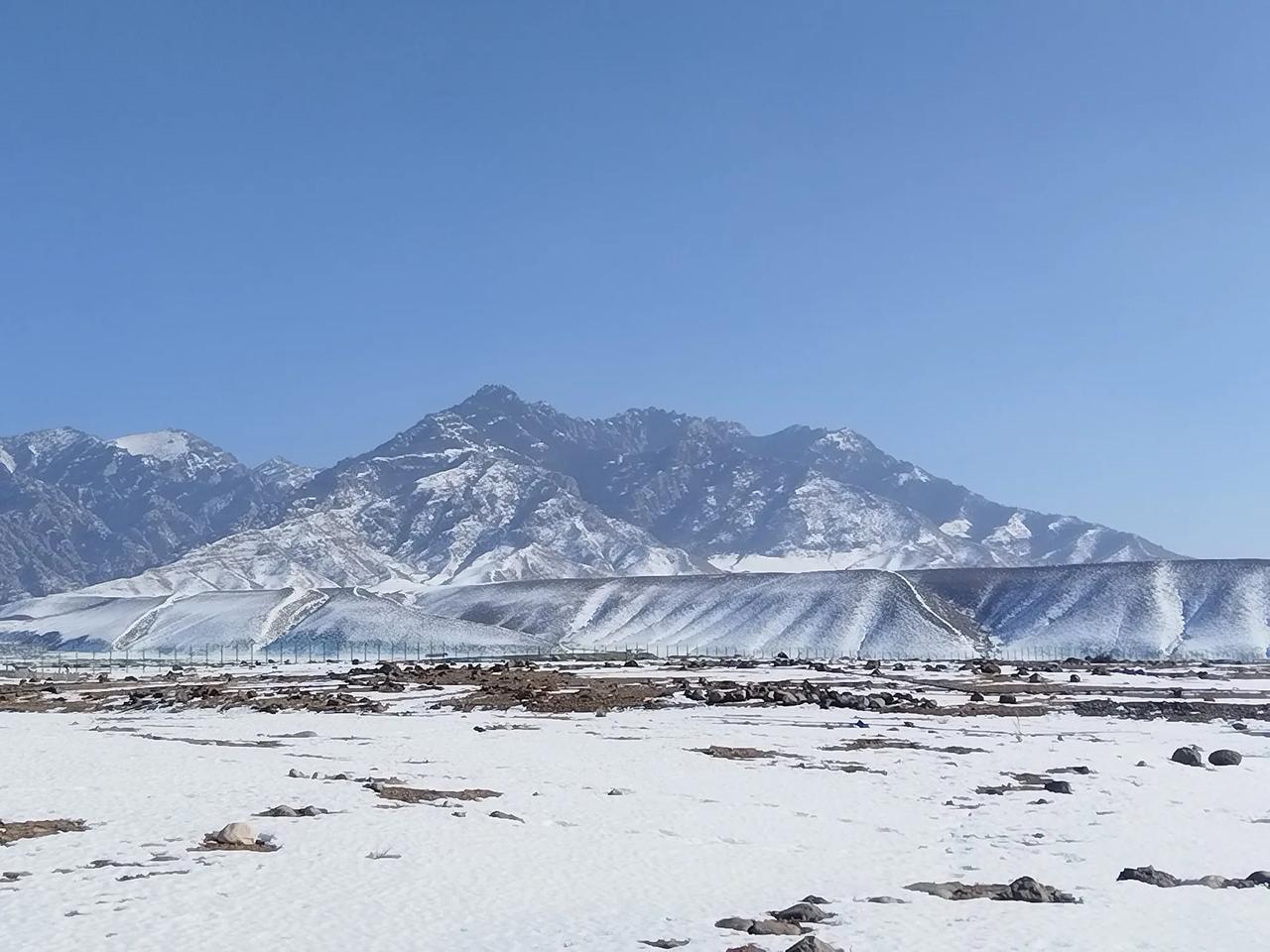 贺兰之雪