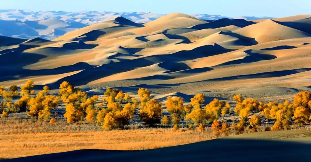 谁能想到，咱们突然开始疯狂死磕33万平方公里的塔克拉玛干沙漠，不仅是在挡风沙，更