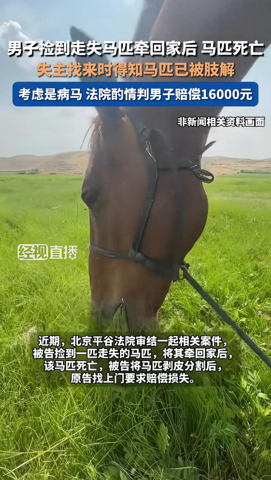 男子捡到走失的马匹，牵回家后马匹死亡，失主找回来时得知马匹已被肢解。考虑是病马，