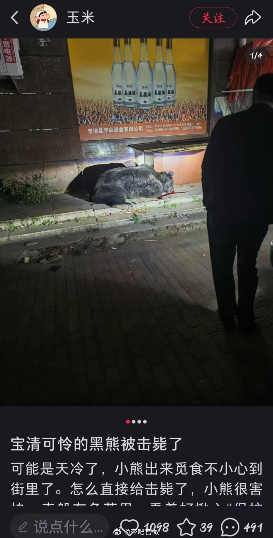 一只成年黑熊跑到闹市区捣乱，怕危害到群众人身安全，所以将其击毙。然后圣母就出来了