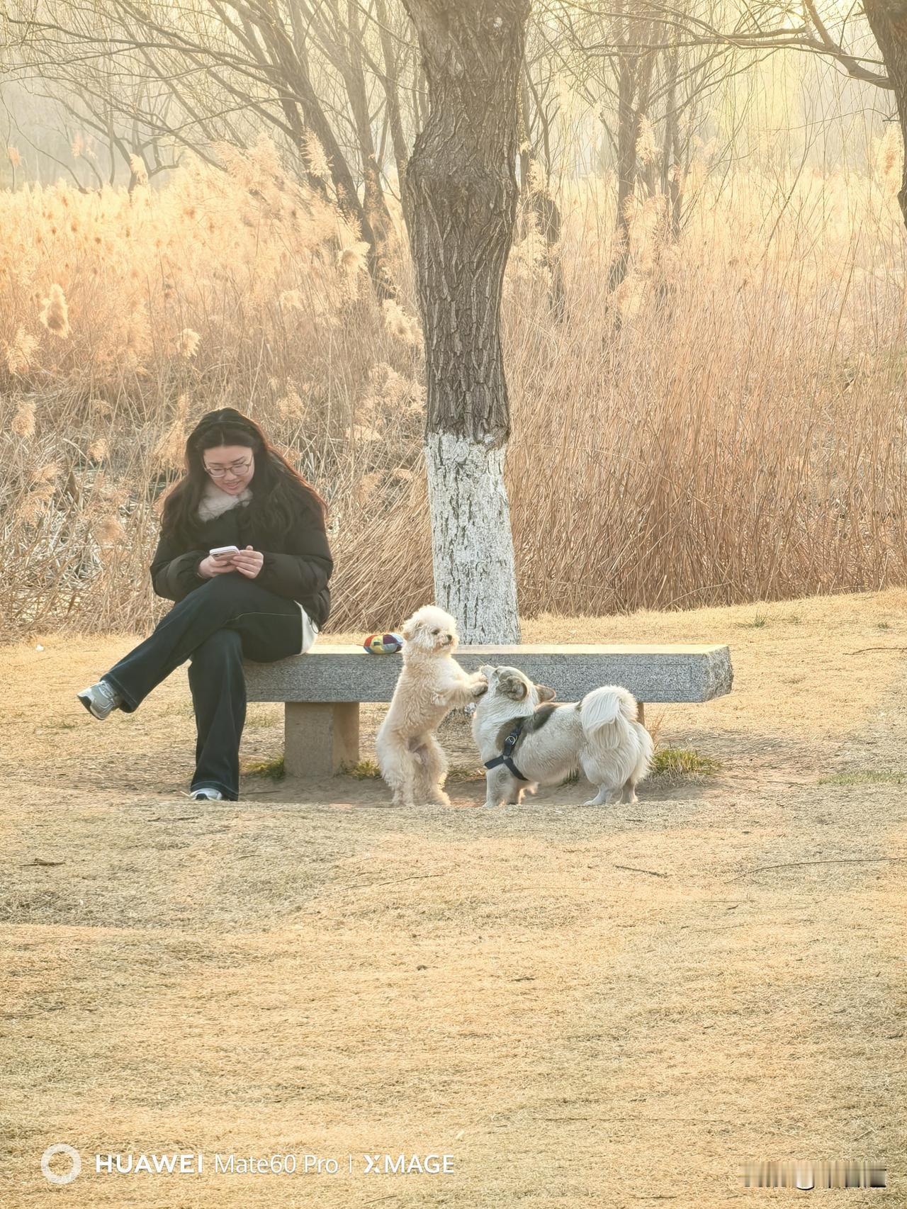 骑行途中，不经意间邂逅一位美女正带着两只萌趣的狗子。那两只调皮的狗子相互打闹，模
