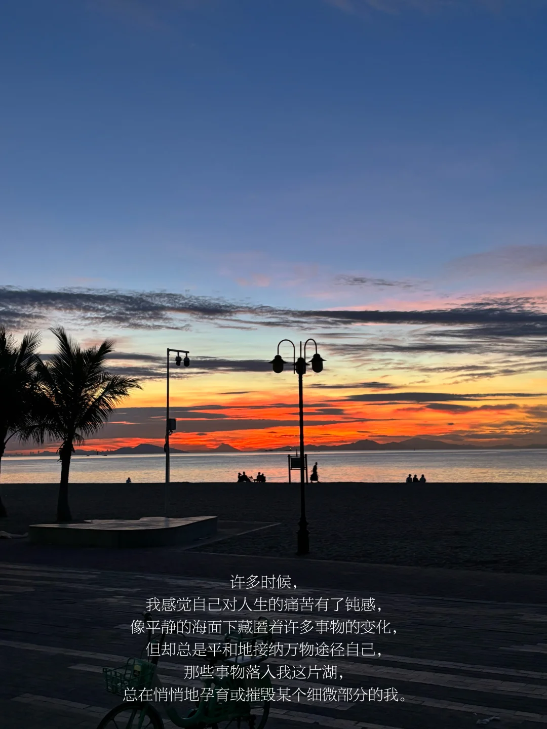 缓慢地走，去遇见一些崭新的事物，重构自我