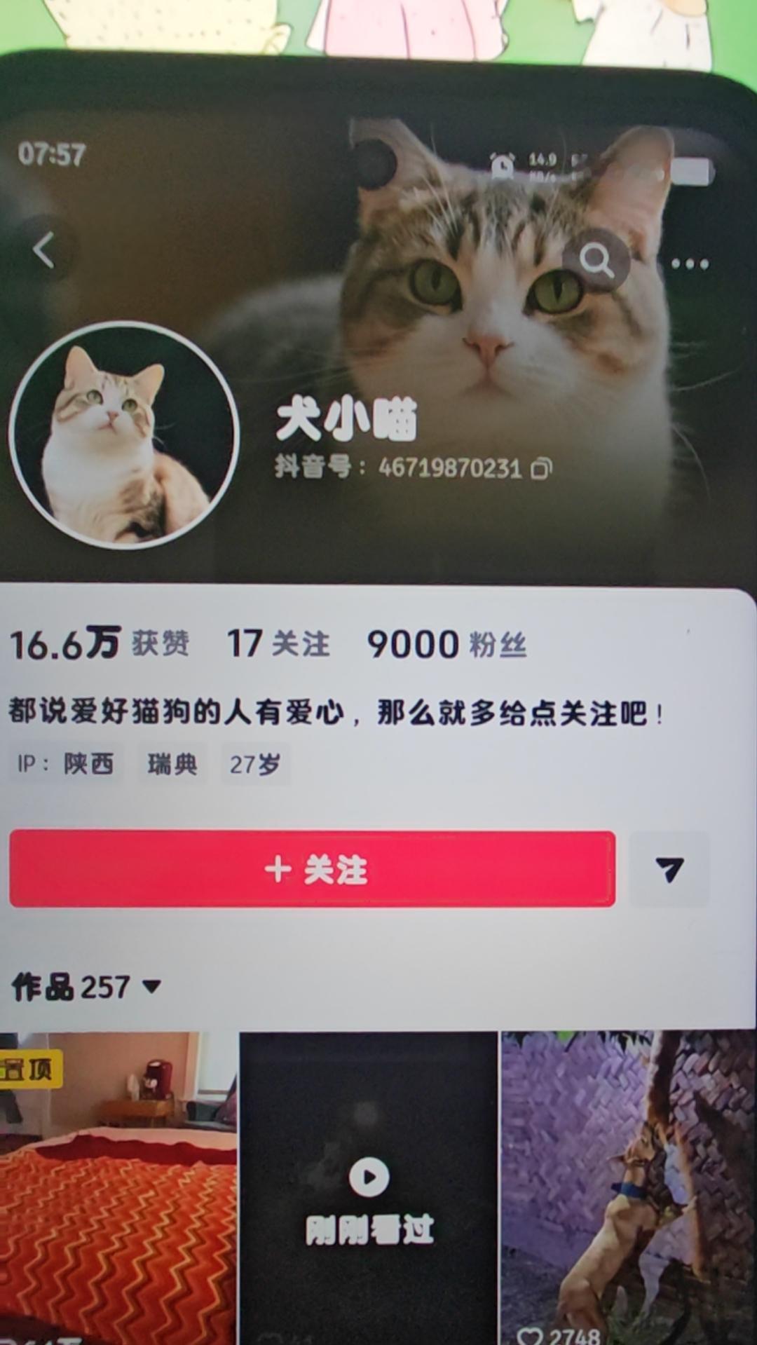 抖音号46719870231，大家转发吧！用猫做头像，让人觉得他是爱猫人士，其实