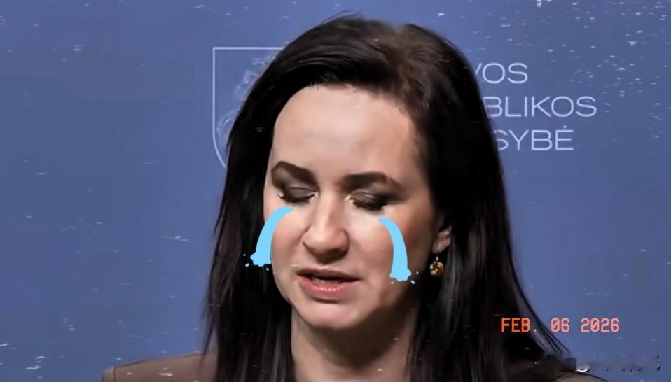 立陶宛终于认识到当初的严重错误！立陶宛总理鲁吉尼埃内近日明确表示当初允许台海在首