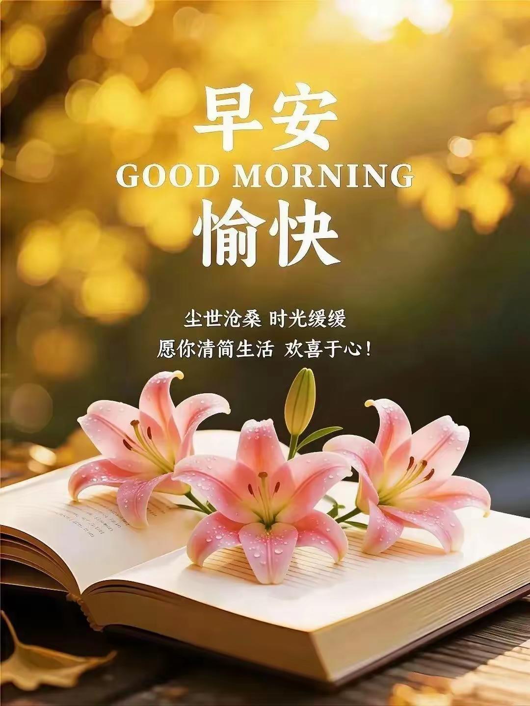 敬重你的人
会清晨打扰你
在乎你的人
会每天问候你
关心你的人
会时时惦念你
不