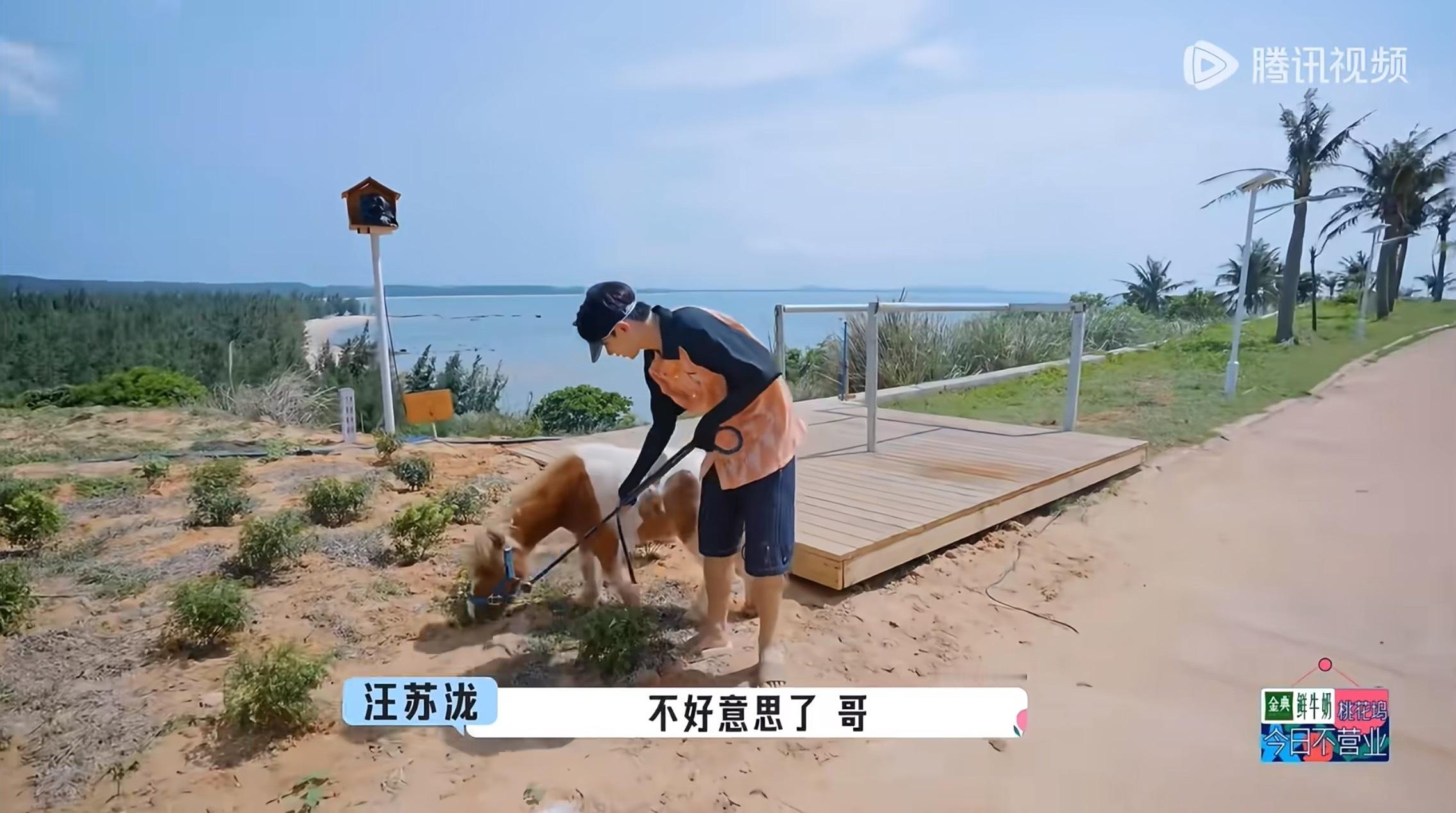 特别爱看小泷泷和小动物交流 不管是和什么小动物交流都像是同类的对话啊啊 图上有萌
