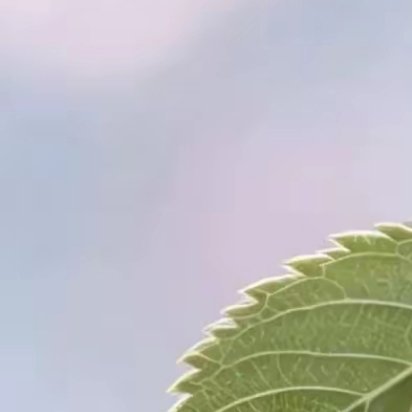 你现在的每一份努力，都是在为未来的自己积攒福气和运气。 