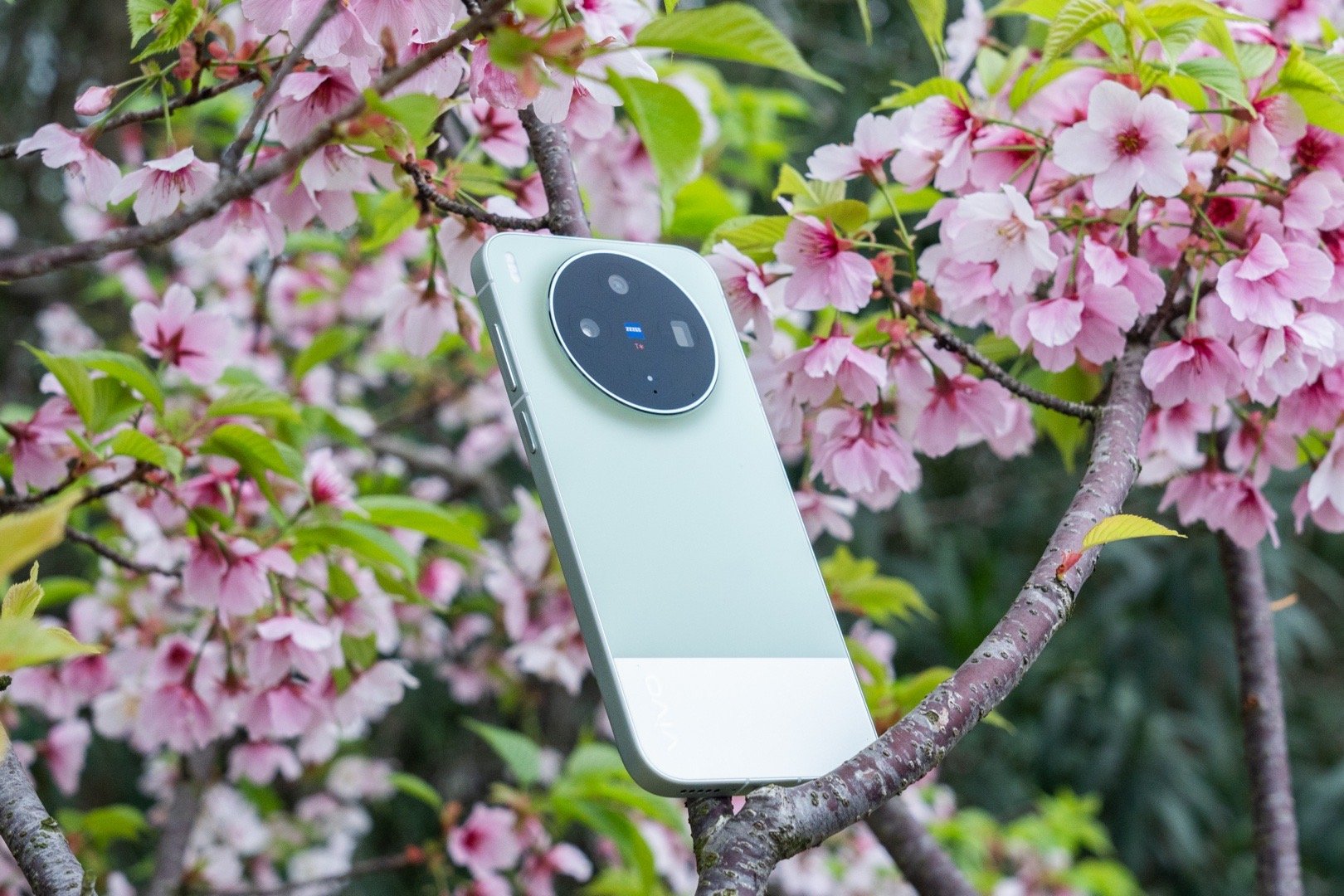 为什么叫vivo X300s超能小V单大家来看一看，vivo X300s的外观真