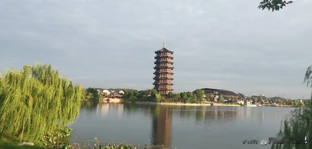 
你就在公园中央，
接受万千游客的瞩目，
你就在荷花池畔，
接受众多荷花的景仰，