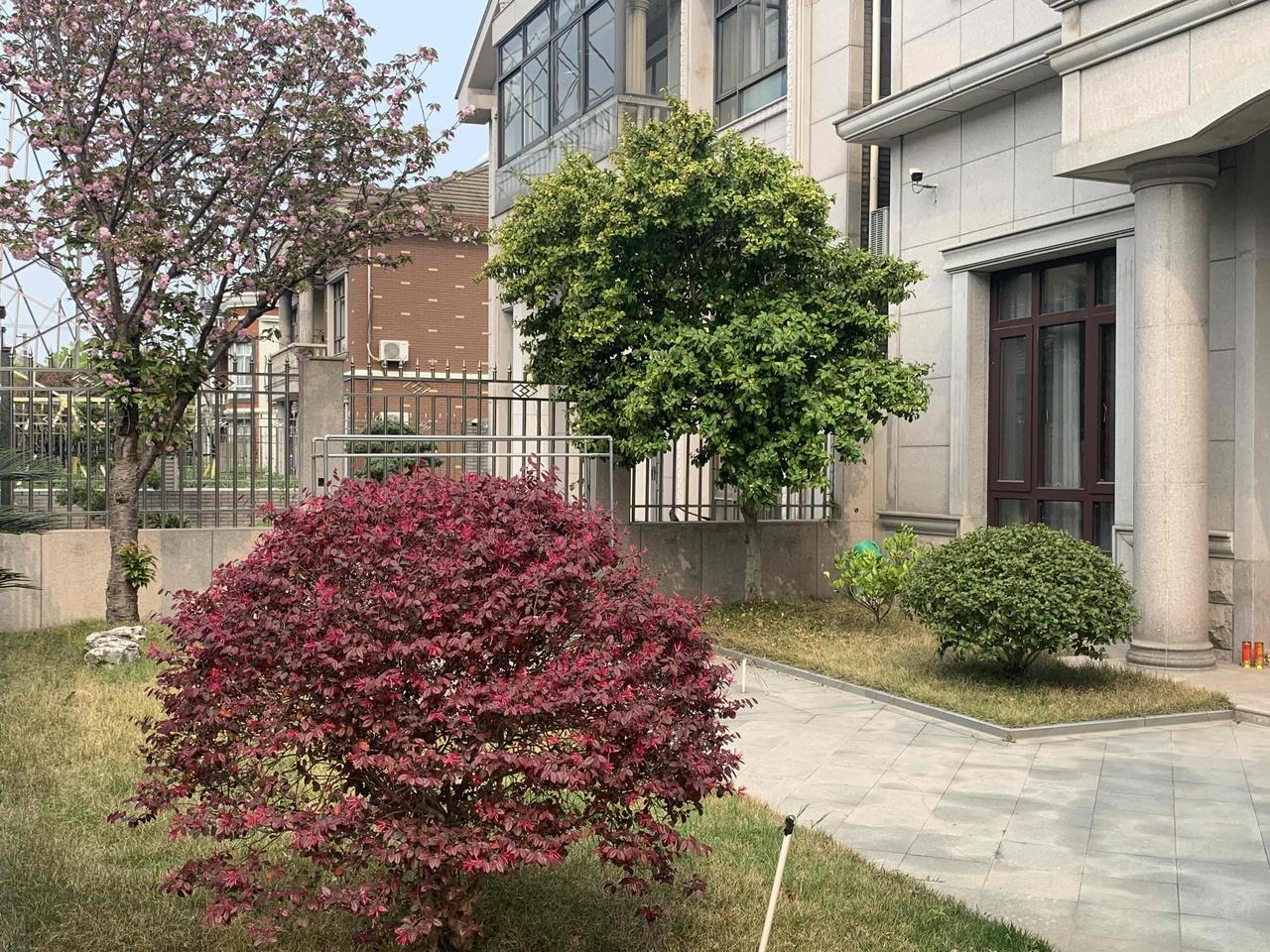 生肖马最看重的，首当其冲是爱人。父母会离去，儿女会逐梦，只有老伴能陪他们相伴一生