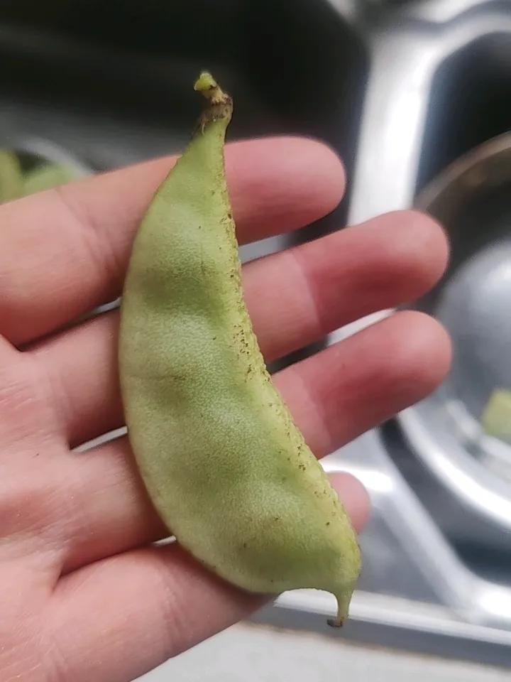 各位友友，问问你们老家这个叫什么