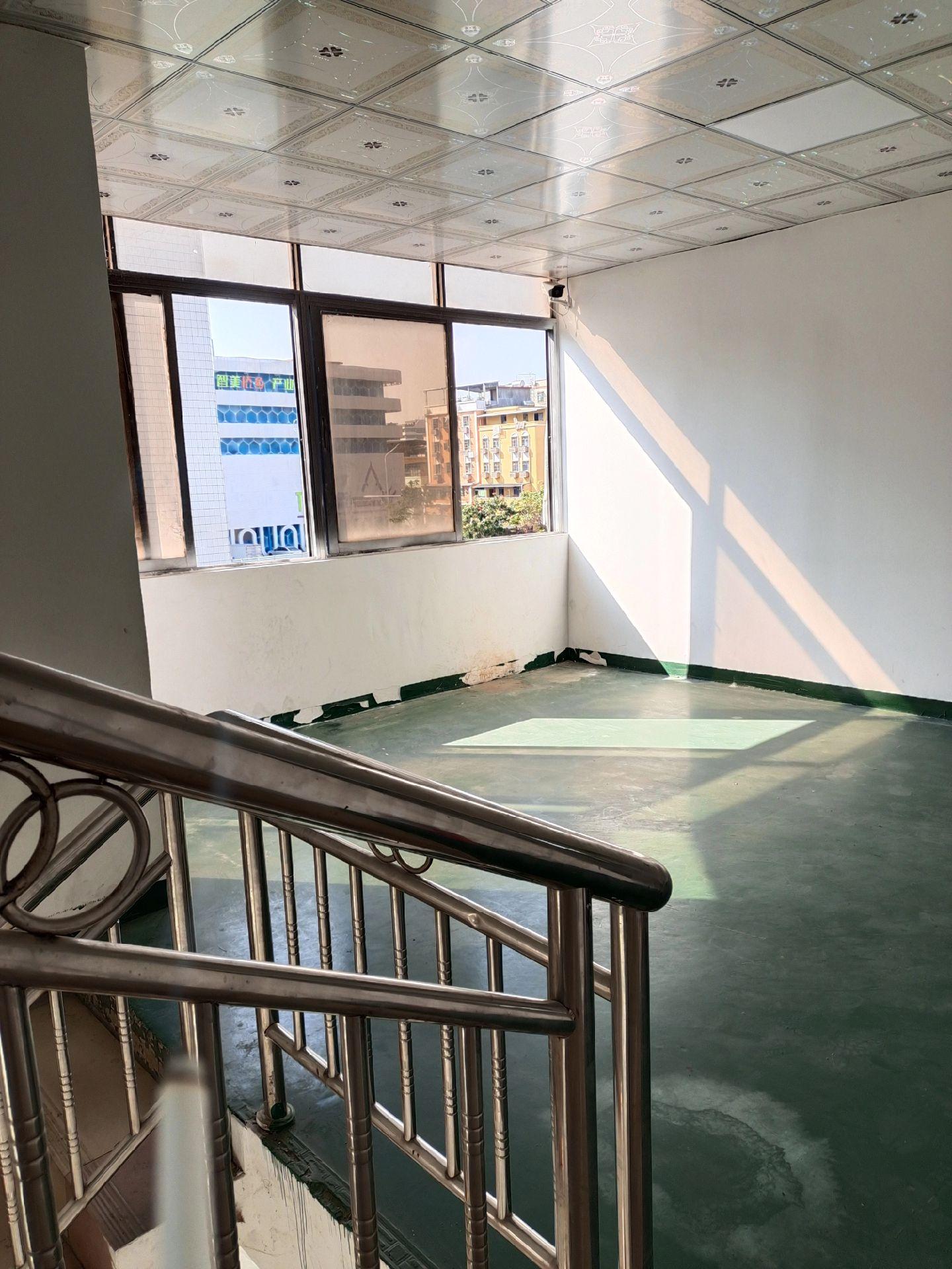 南方没有雪  再也不会怀念北方。