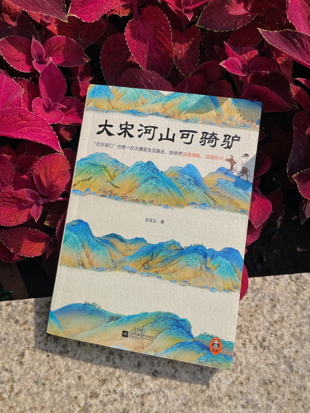 这本历史书真的适合年轻人读了！