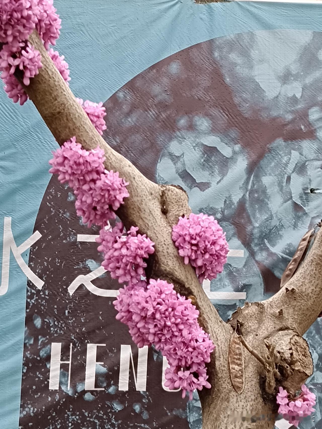 玄学警示，最好别让他人伺候
你是否留意到这样一个现象？
那些长期有人伺候的人，往