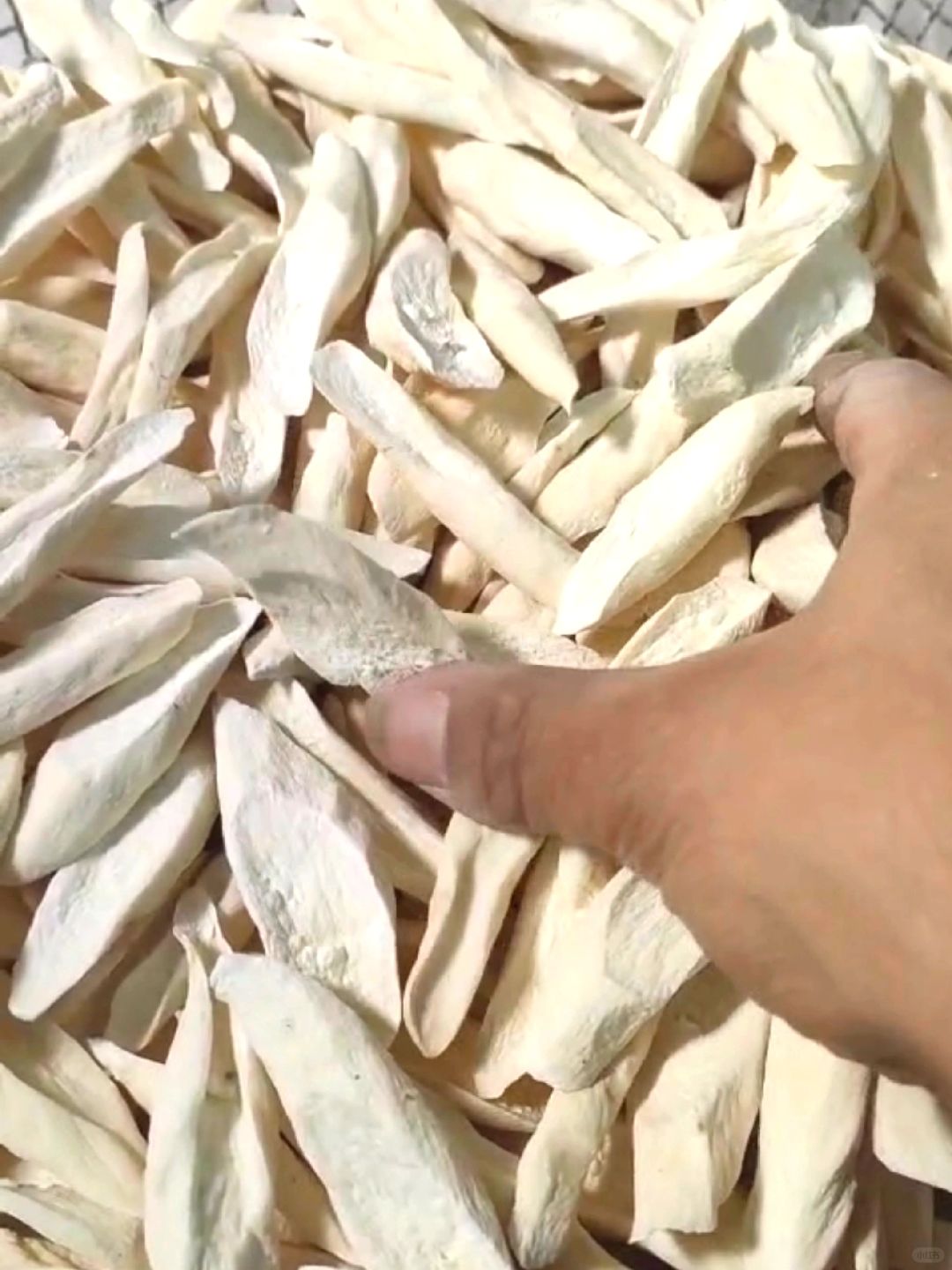 怀山药片为什么不建议冷水煮❗