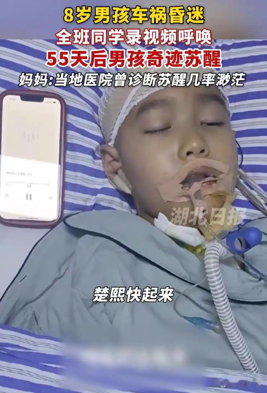 8岁男孩遭遇严重车祸昏迷55天，同学如何用视频唤醒奇迹？
8岁男孩楚熙在一场车祸