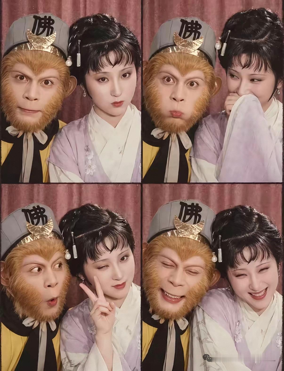 原来这才是正版的“木石奇缘”，美猴美女、眉目传情，CP感拉满，祝福这对年轻人[呲