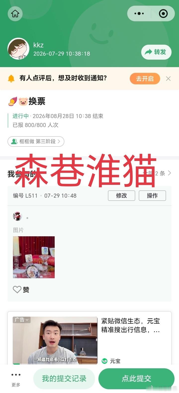 7.29森巷淮猫2分 