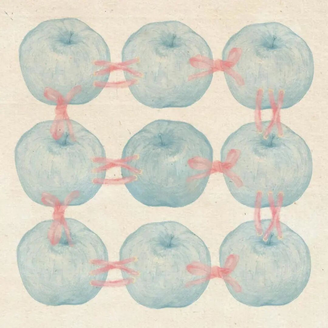 𝐵𝑙𝑢𝑒 𝑎𝑝𝑝𝑙𝑒🪄🫧 