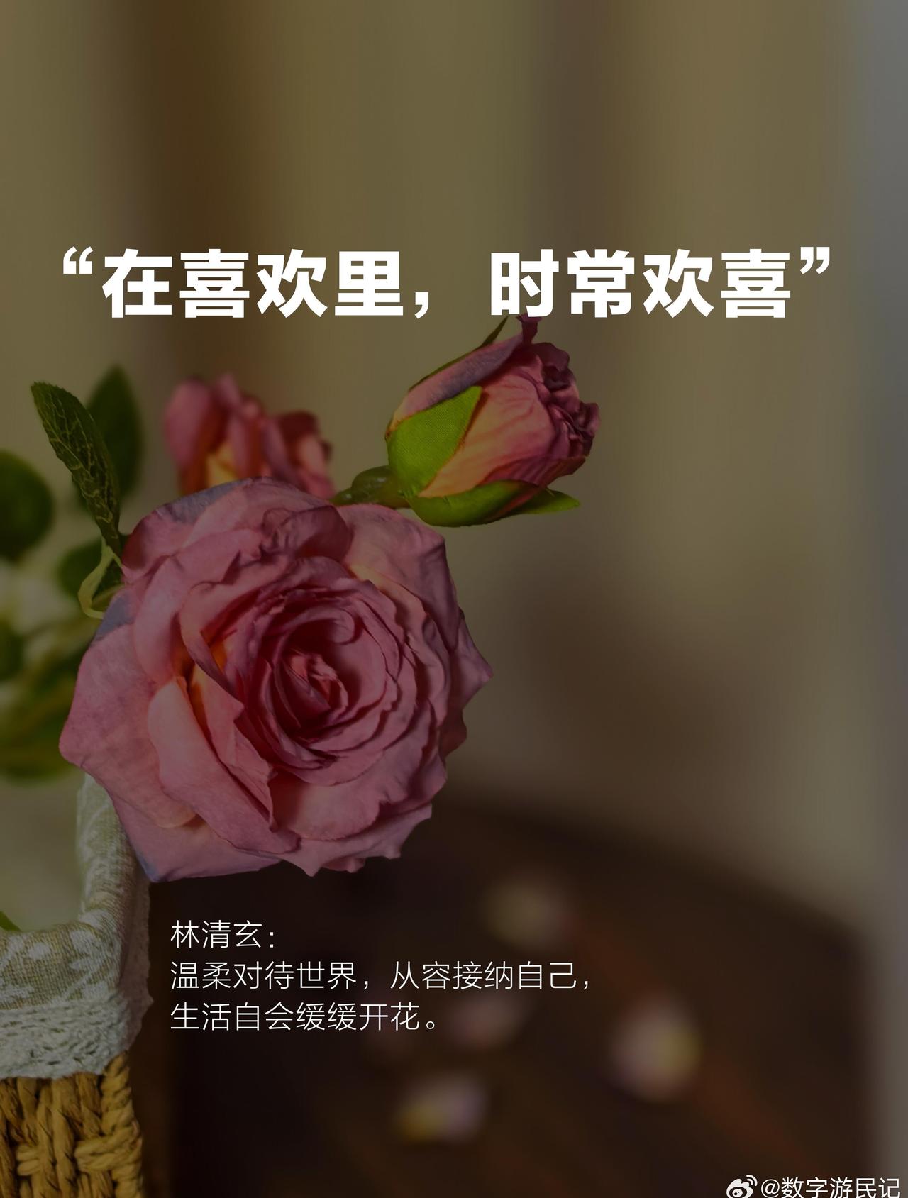 普通人的日子，本就是平淡细碎的，但我们可以凭着热爱，把普通的日子，过得温柔且治愈