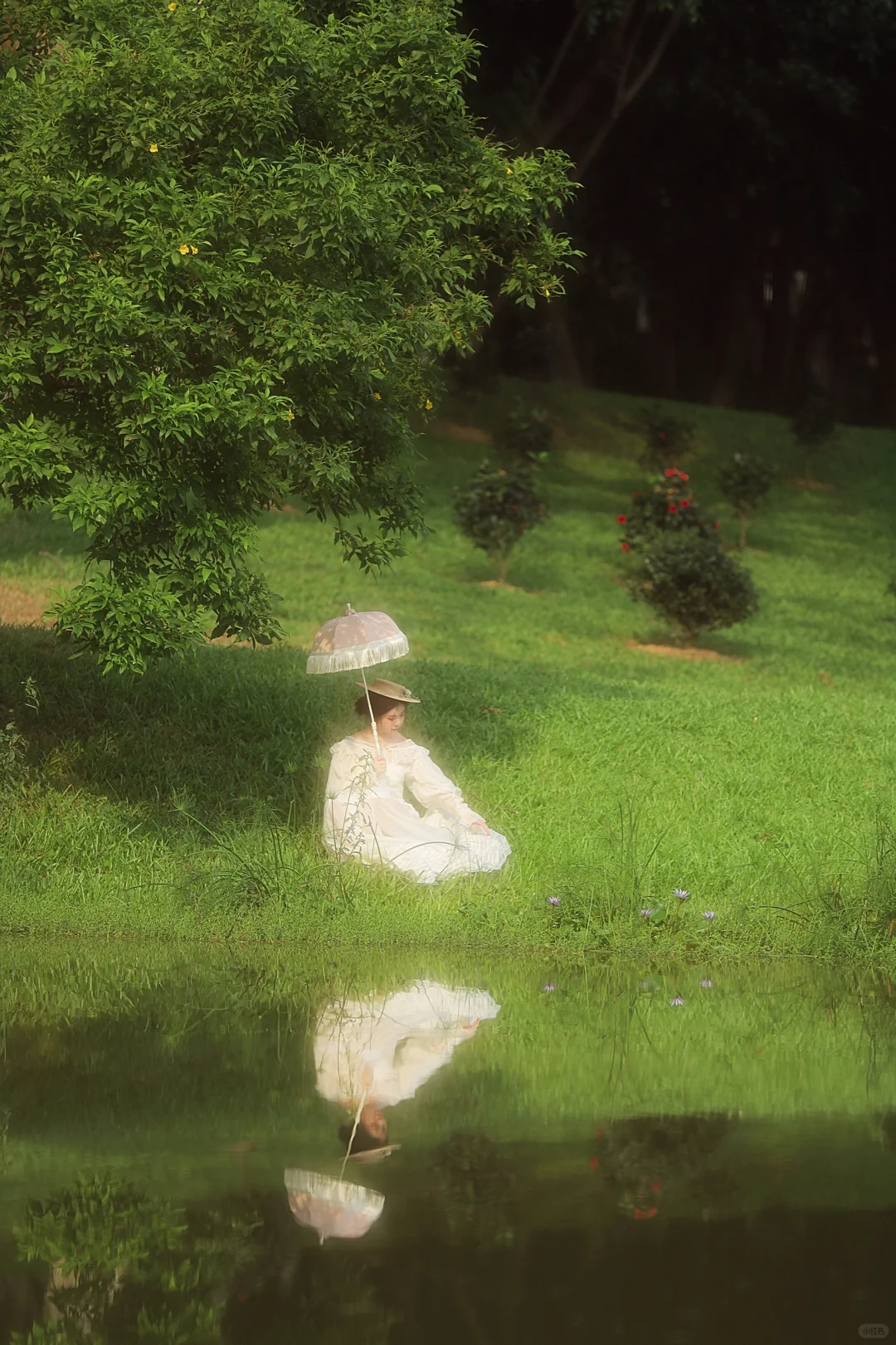 来帮我选一张封面吧🌿东莞写真