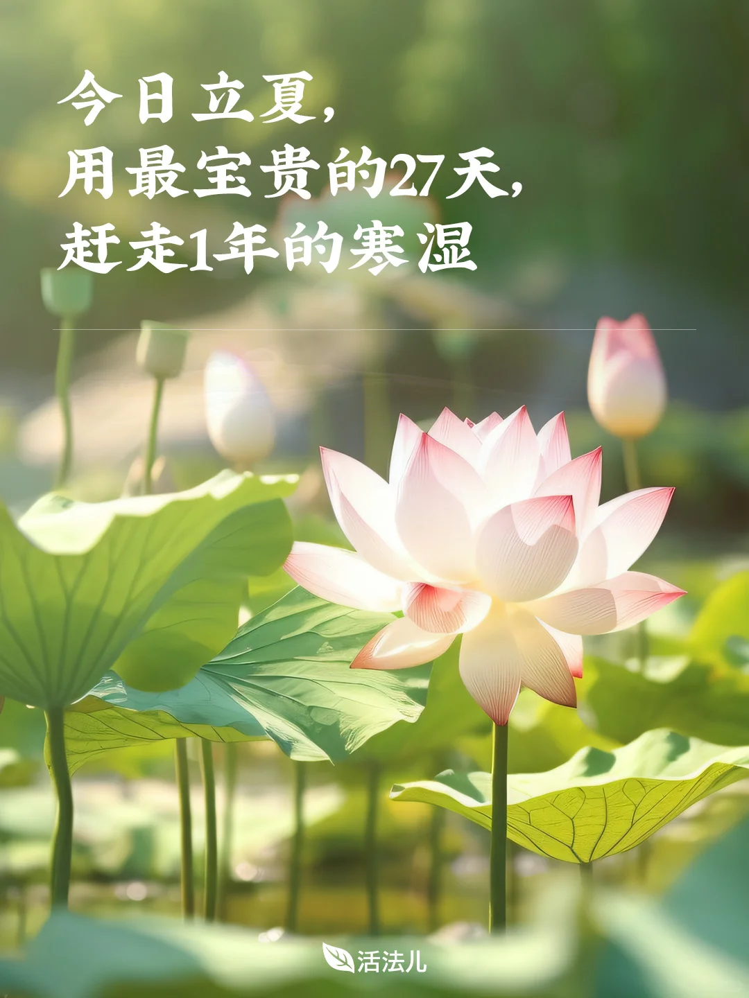 今日立夏：排湿最好的27天到了！